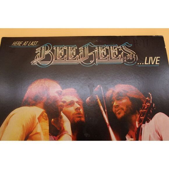 BEE GEES - Live...Here At Last (RSO) - 12" Vinyl Record 2xLP - EX - Picture 6 of 8